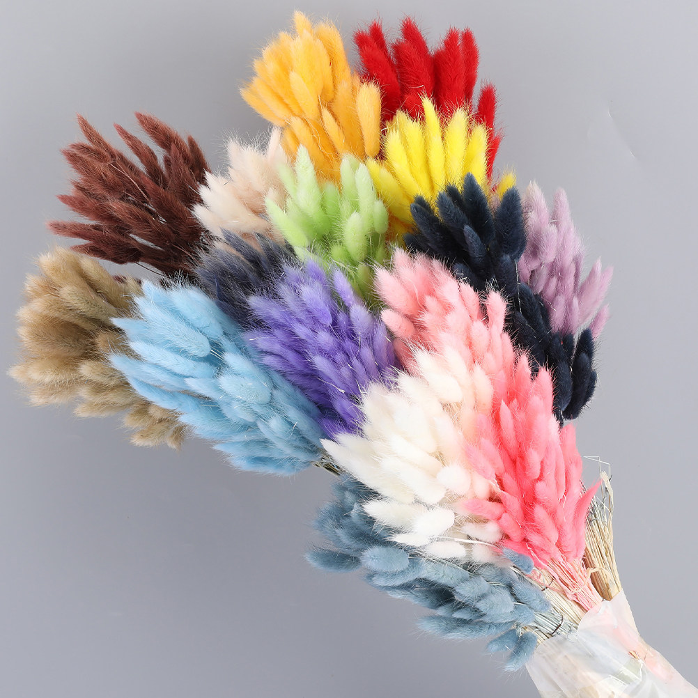 Dried Flower Bouquet - 60Pcs Rabbit Tail Grass Dried Flowers