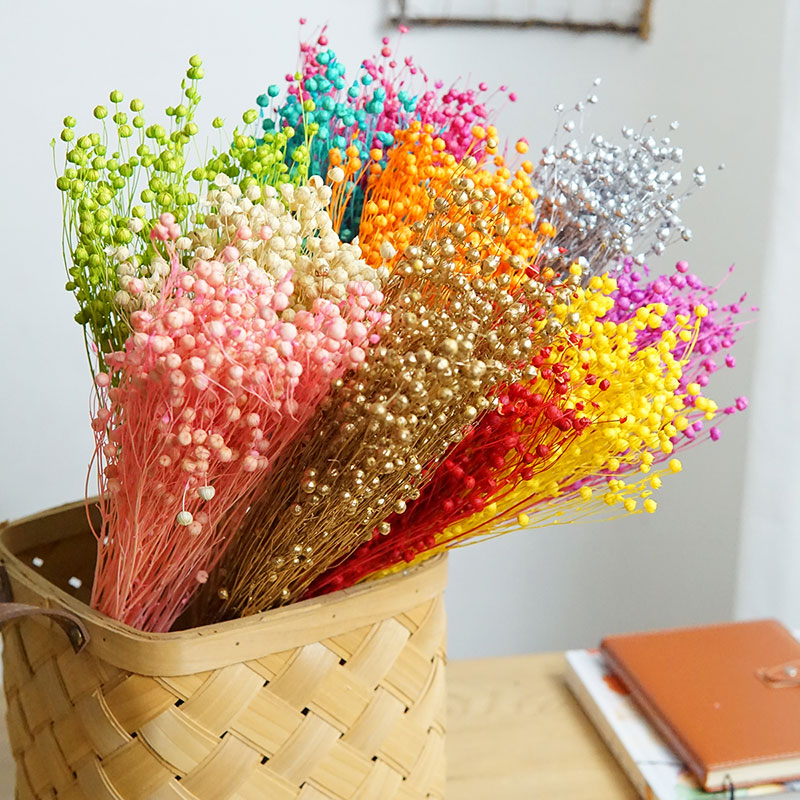35g/Preserved Ormosia Hosiei N - Dried Flower Bouquet reseña y precio