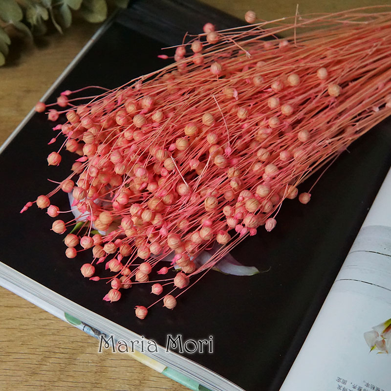 35g/Preserved Ormosia Hosiei N - Dried Flower Bouquet reseña y precio