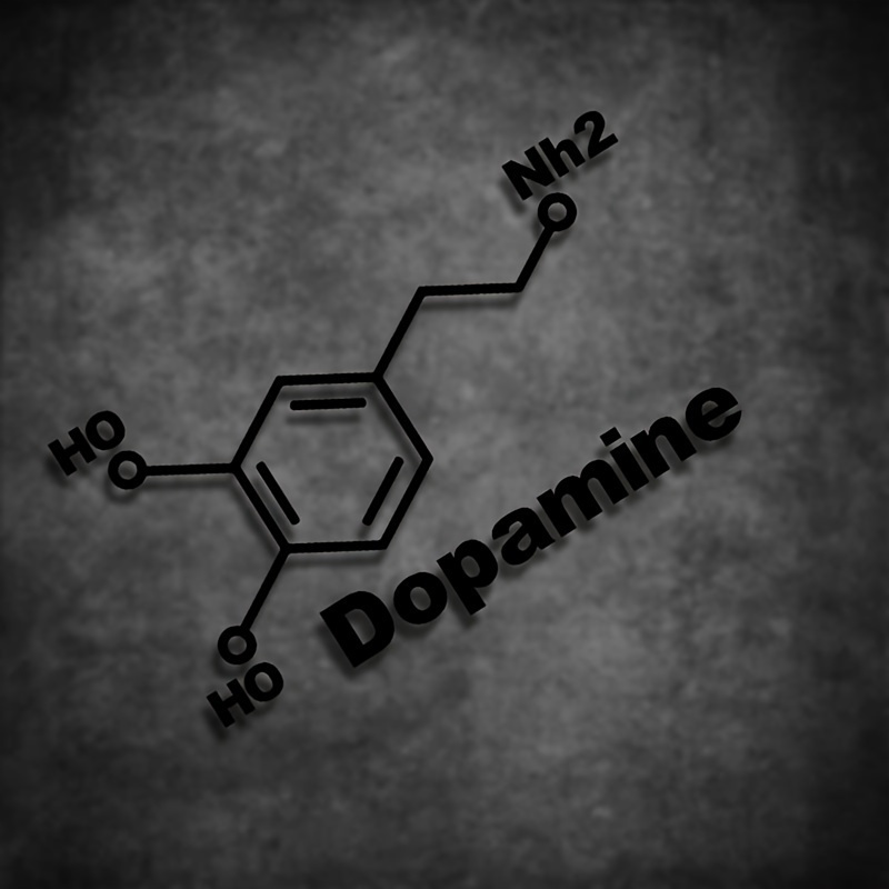 1PC Dopamine Molecule Chemical - Home Decor Dopamine reseña y precio
