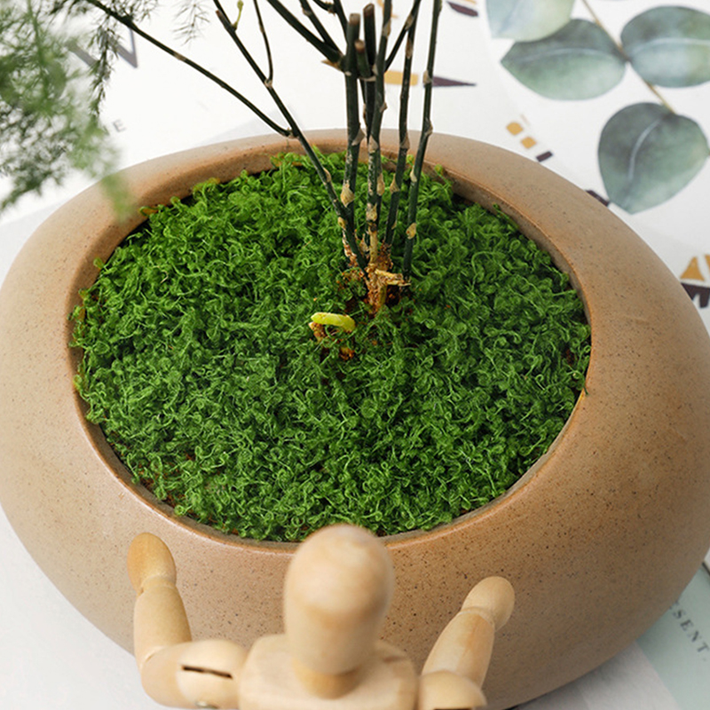 about 20g Artificial Green Pla - Home Decor Handicraft reseña y precio
