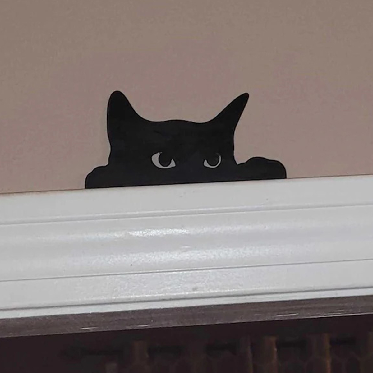 1 Pc Cat looking up Door Toppe - Home Decor Kolkata reseña y precio