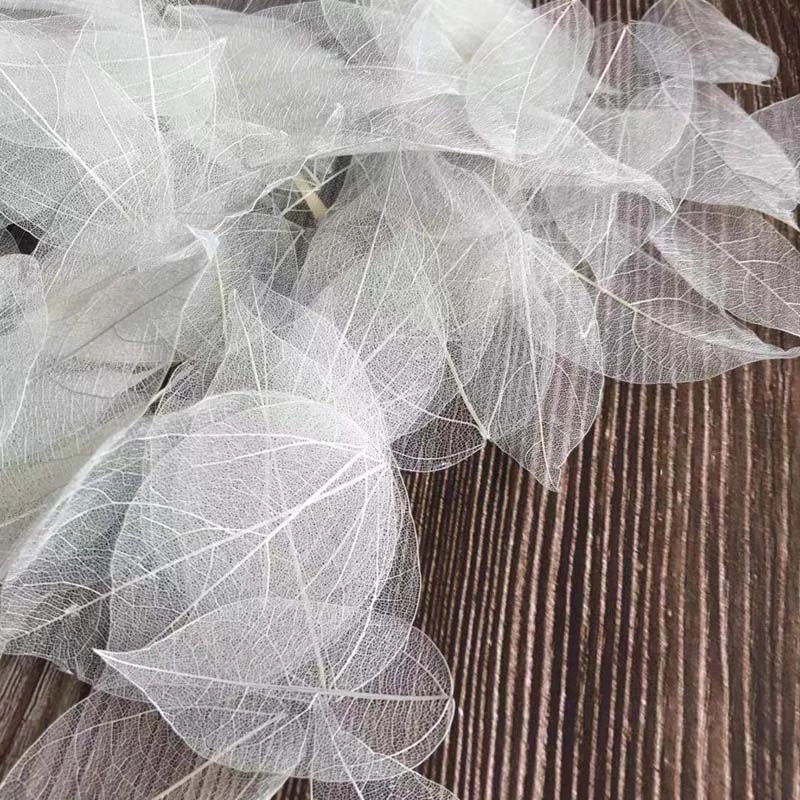 5~9CM*2~3.5CM,100PCS/Set,Real  - Dried Flower Bouquet reseña y precio