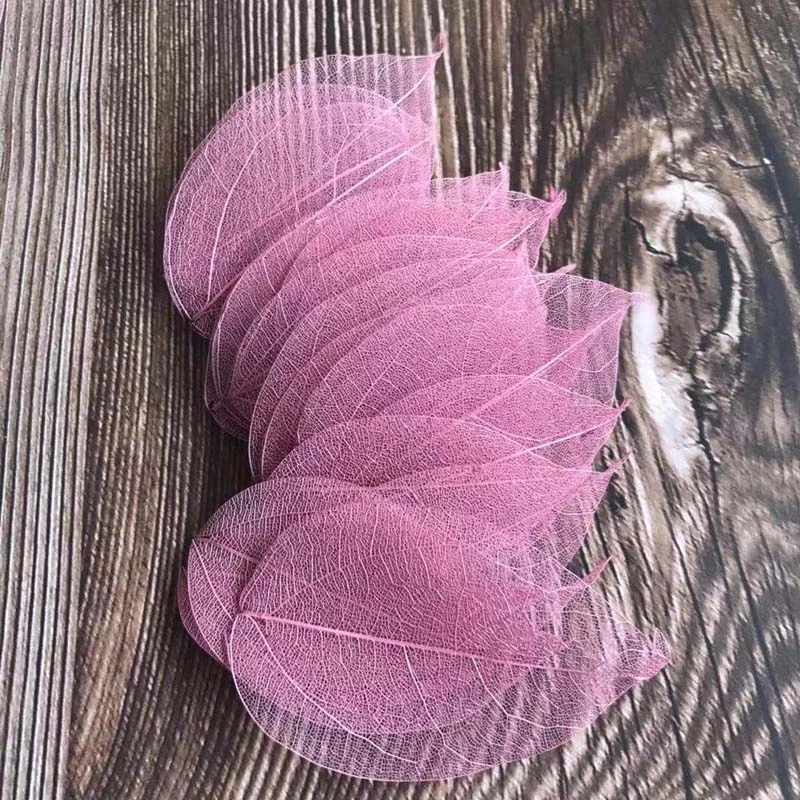 5~9CM*2~3.5CM,100PCS/Set,Real  - Dried Flower Bouquet reseña y precio