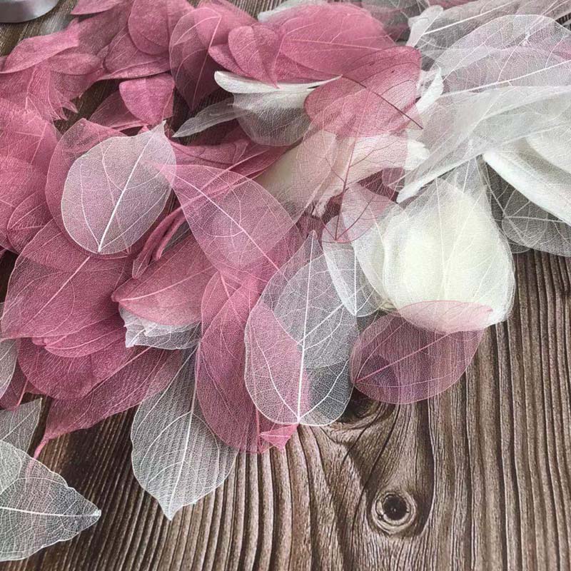5~9CM*2~3.5CM,100PCS/Set,Real  - Dried Flower Bouquet reseña y precio
