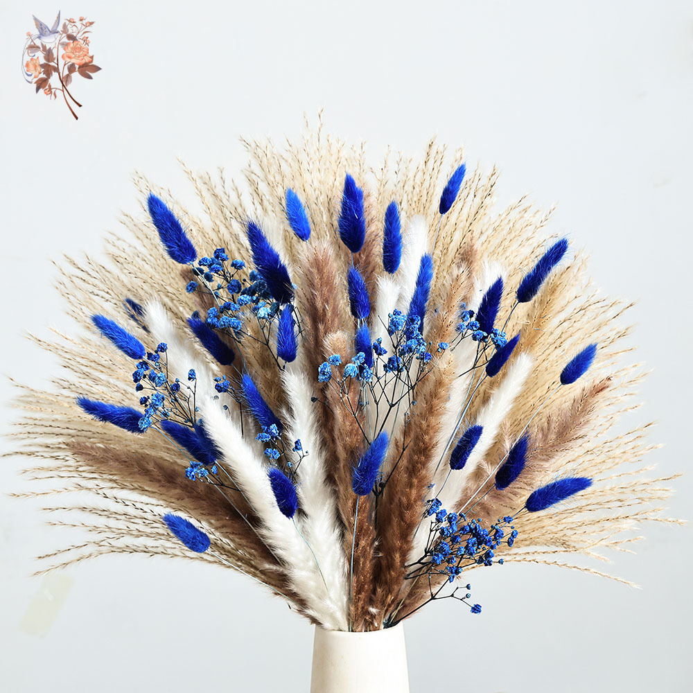 70 Stem Blue Fluffly Rabbit Ta - Dried Flower Bouquet reseña y precio