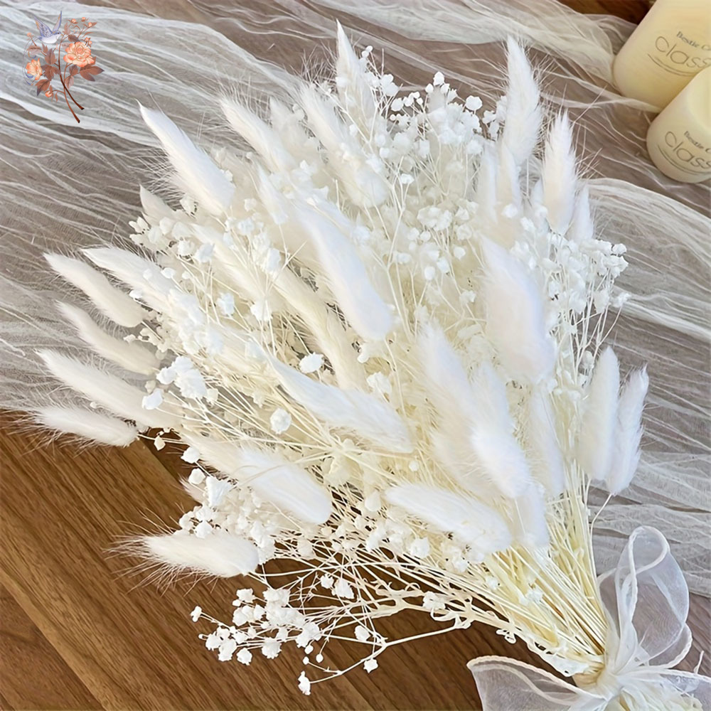 54Pcs White Dried Flower Brida - Dried Flower Bouquet reseña y precio