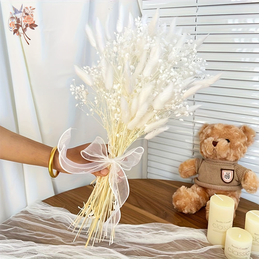 54Pcs White Dried Flower Brida - Dried Flower Bouquet reseña y precio