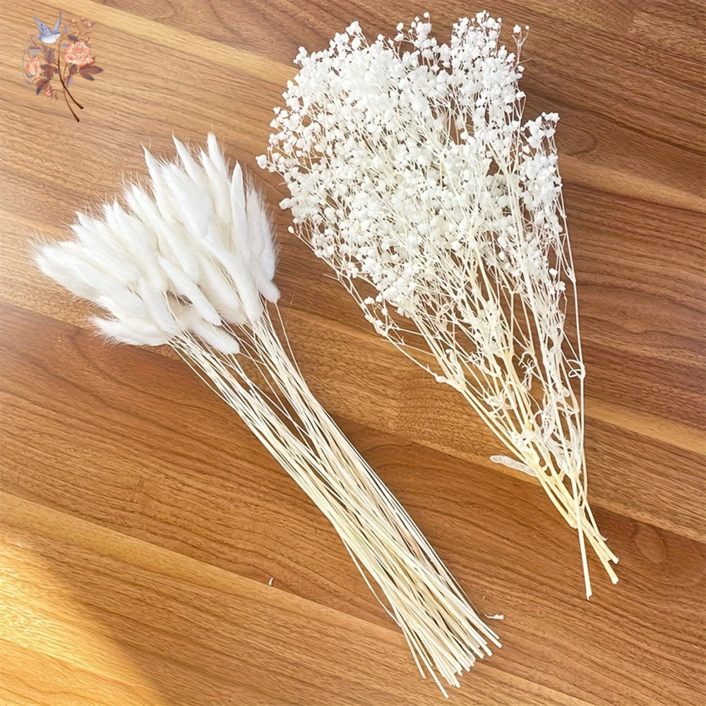 54Pcs White Dried Flower Brida - Dried Flower Bouquet reseña y precio