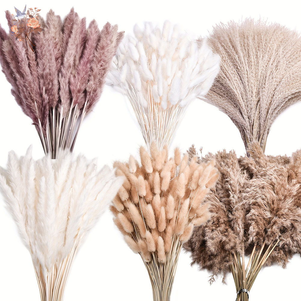325PCS Mixed Fluffy Large Pamp - Dried Flower Bouquet reseña y precio
