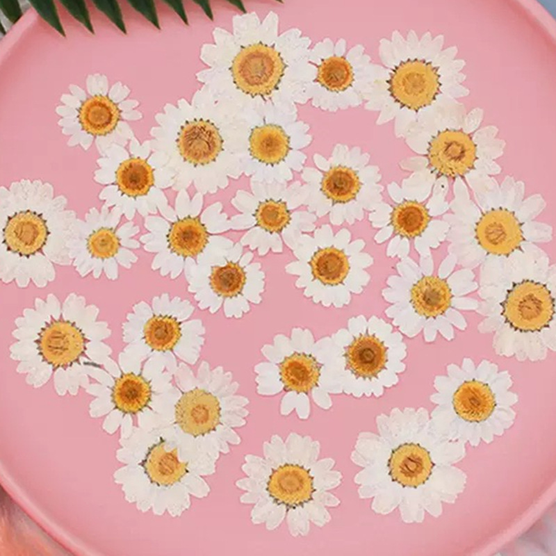 100Pcs Natural White Crystal C - Dried Flower Bouquet reseña y precio