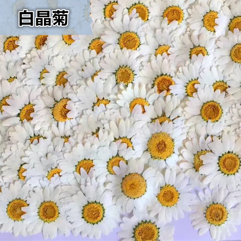 100Pcs Natural White Crystal C - Dried Flower Bouquet reseña y precio