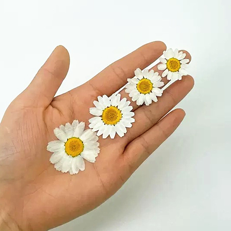 100Pcs Natural White Crystal C - Dried Flower Bouquet reseña y precio