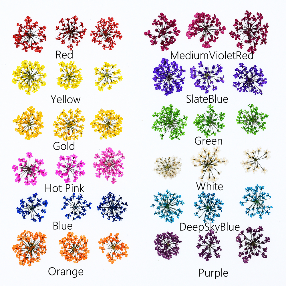 24pieces Natural Dried Flowers - Dried Flower Bouquet reseña y precio