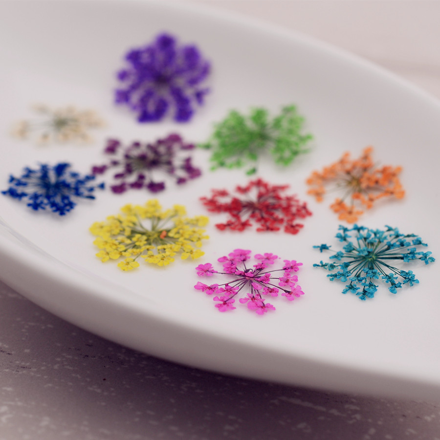 24pieces Natural Dried Flowers - Dried Flower Bouquet reseña y precio