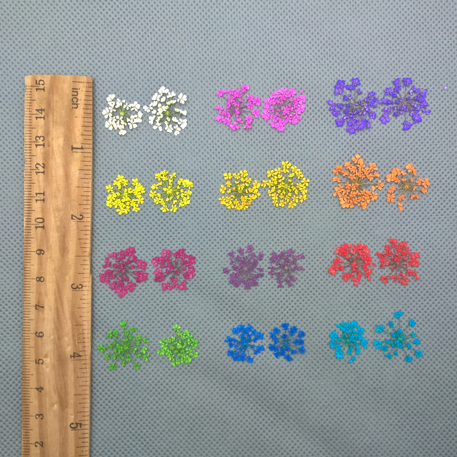 24pieces Natural Dried Flowers - Dried Flower Bouquet reseña y precio
