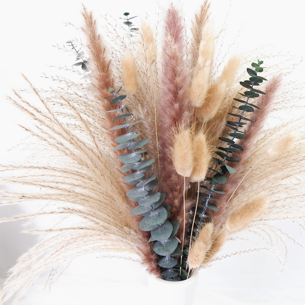 60-Piece Dried Flower & Pampas - Dried Flower Bouquet reseña y precio