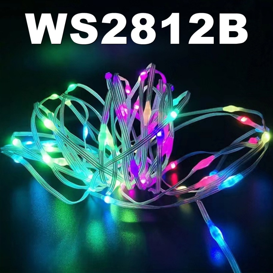 WS2812B LED Light String Smart - Home Decor Garland reseña y precio