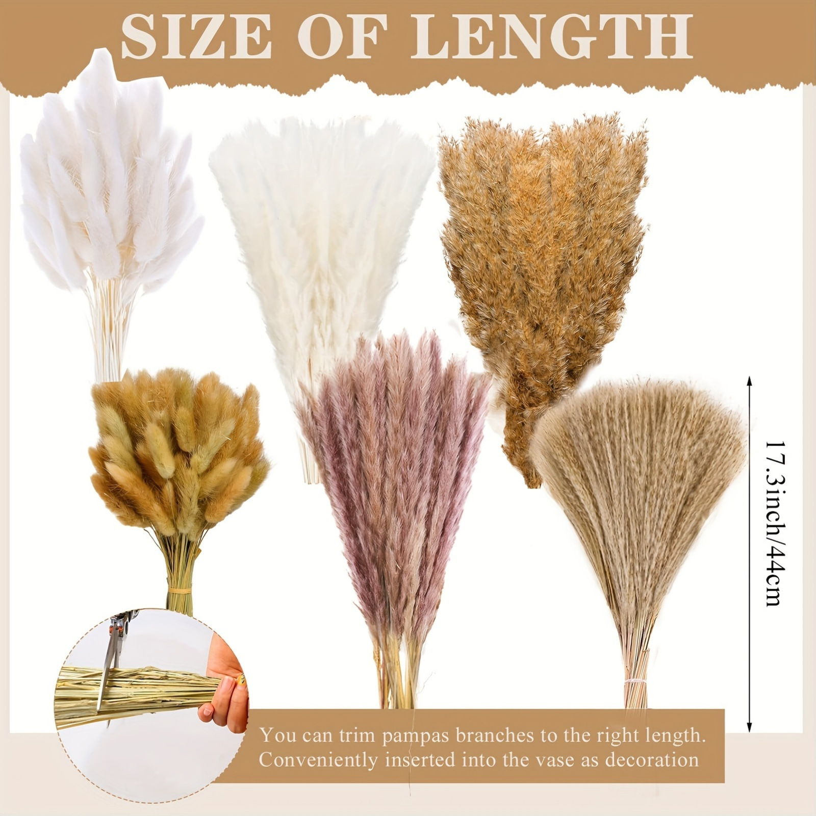 330PCS Mixed Reed Pampas Grass - Dried Flower Bouquet reseña y precio