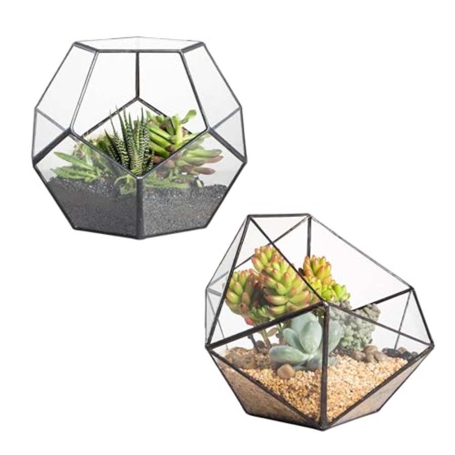 Glass Terrarium for indoor hom - Home Decor Garden Ideas reseña y precio