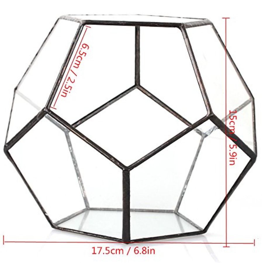 Glass Terrarium for indoor hom - Home Decor Garden Ideas reseña y precio