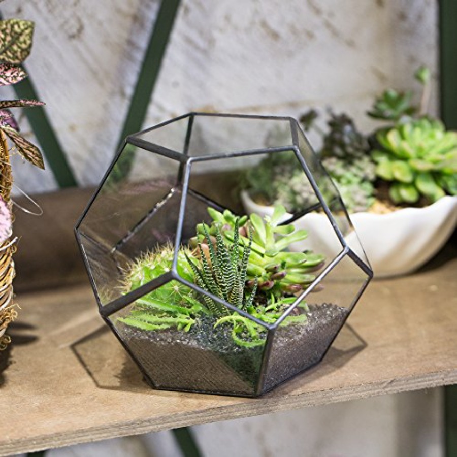 Glass Terrarium for indoor hom - Home Decor Garden Ideas reseña y precio