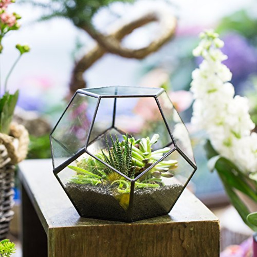 Glass Terrarium for indoor hom - Home Decor Garden Ideas reseña y precio