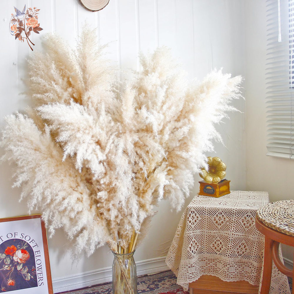 110cm 10/30Pcs Large Fluffy Na - Dried Flower Bouquet reseña y precio