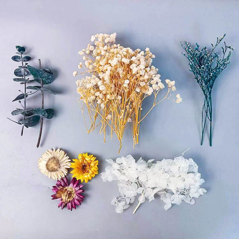 1pack Multifarious Dried Flowe - Dried Flower Bouquet reseña y precio