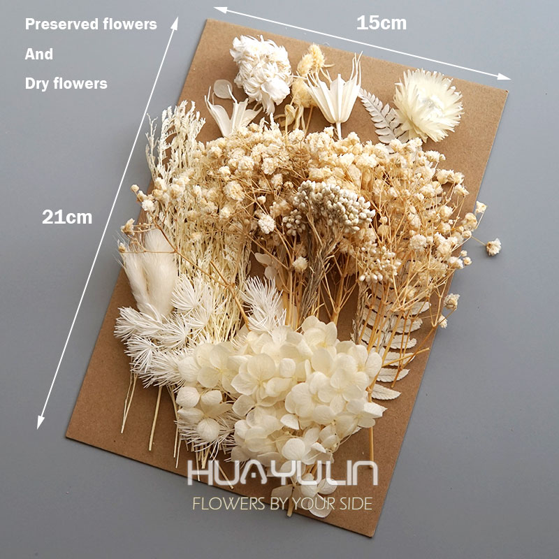1 Pack Artificial Plants Dried - Home Decor Handicraft reseña y precio