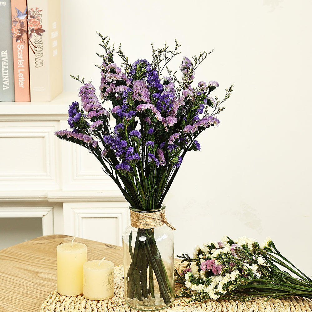 100g Natural Real Forget-me-no - Dried Flower Bouquet reseña y precio