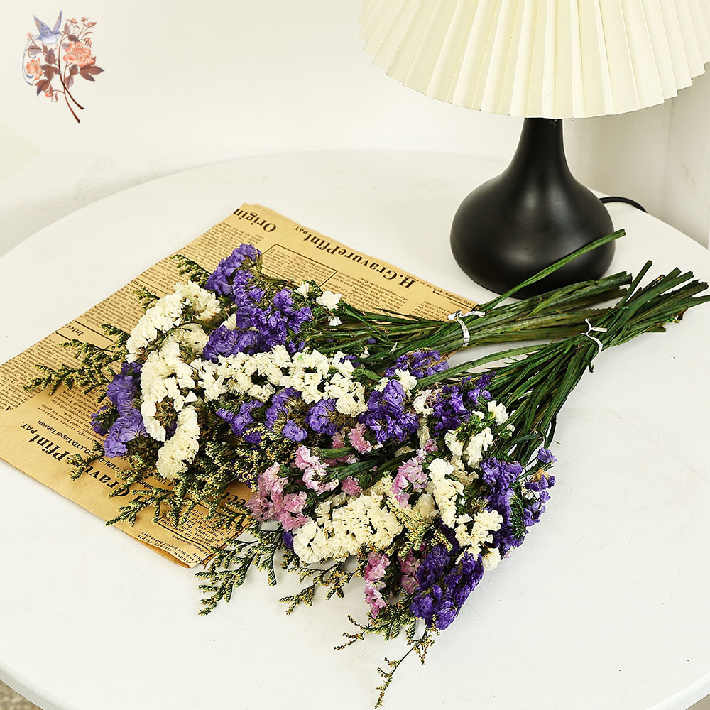 100g Natural Real Forget-me-no - Dried Flower Bouquet reseña y precio