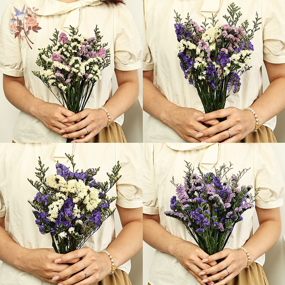 100g Natural Real Forget-me-no - Dried Flower Bouquet reseña y precio