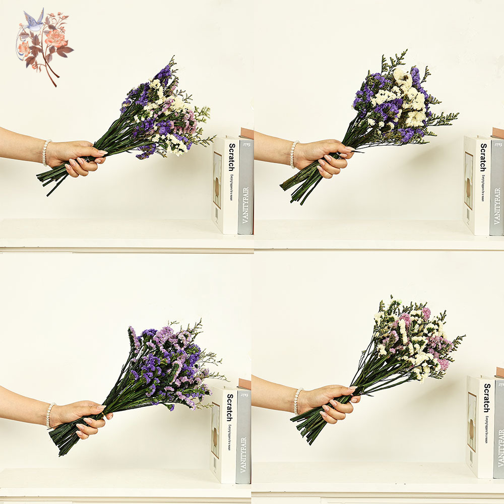 100g Natural Real Forget-me-no - Dried Flower Bouquet reseña y precio