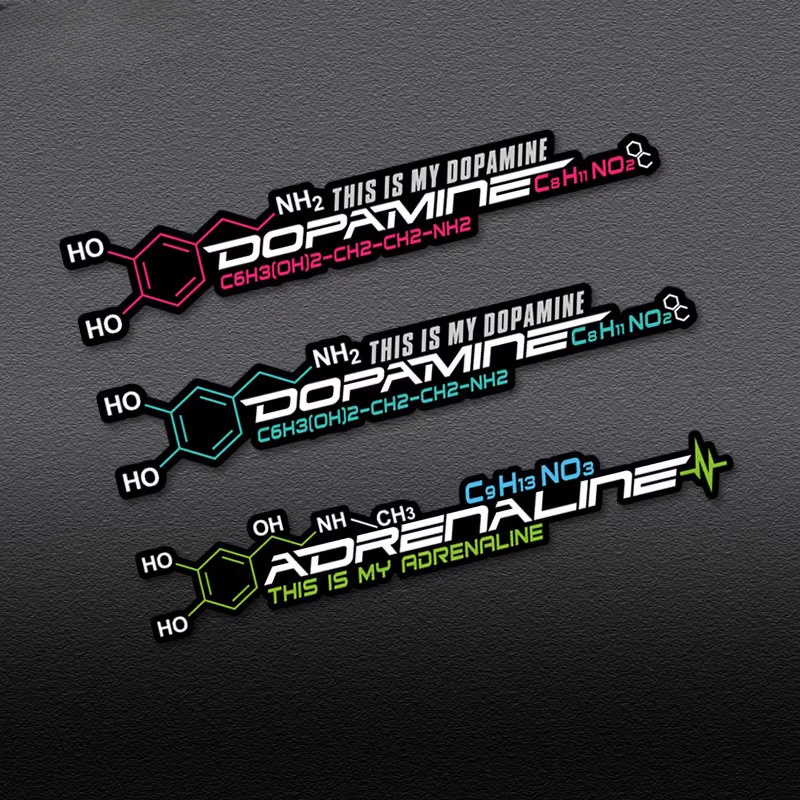 2 Dopamine Molecular Cycle Box - Home Decor Dopamine reseña y precio