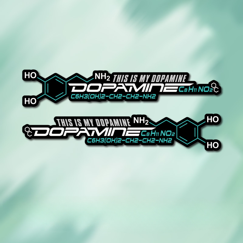 2 Dopamine Molecular Cycle Box - Home Decor Dopamine reseña y precio