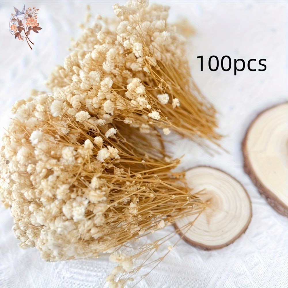 100pcs Mini Dried Baby's Breat - Dried Flower Bouquet reseña y precio