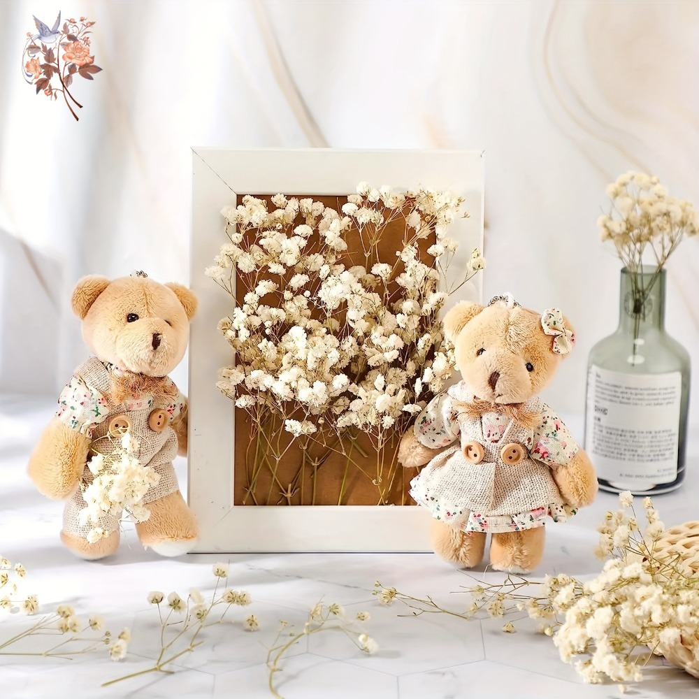 100pcs Mini Dried Baby's Breat - Dried Flower Bouquet reseña y precio