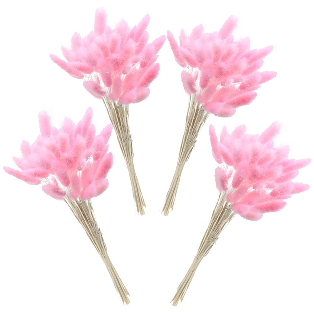 60Pcs Rabbit Tail Grass Dried  - Dried Flower Bouquet reseña y precio
