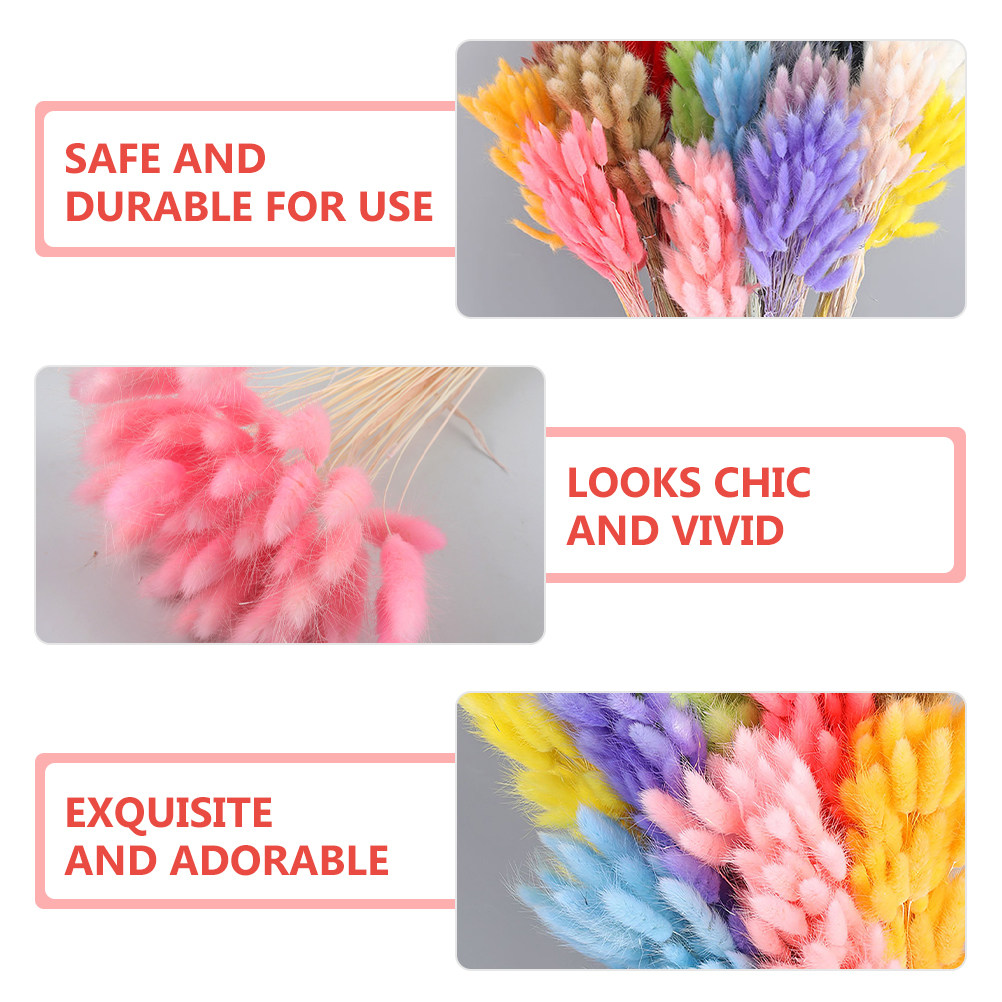 60Pcs Rabbit Tail Grass Dried  - Dried Flower Bouquet reseña y precio
