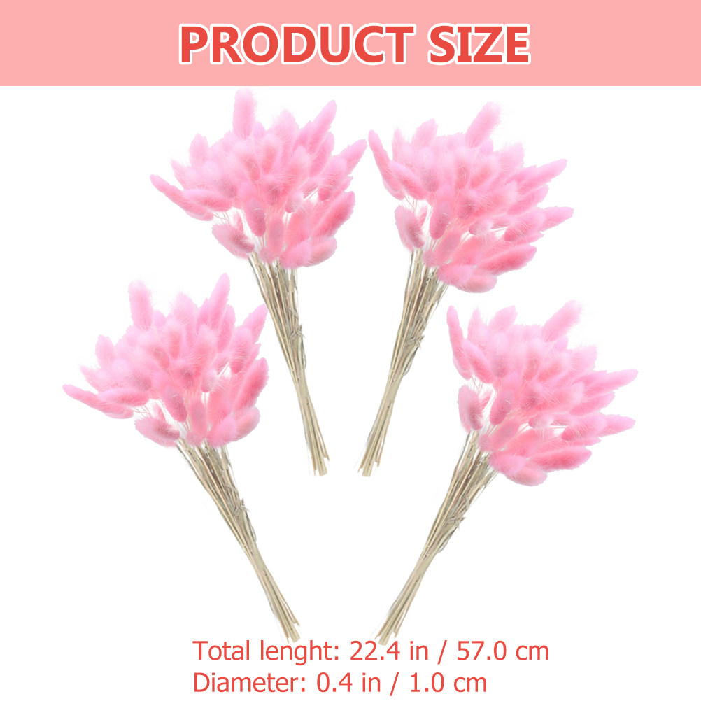 60Pcs Rabbit Tail Grass Dried  - Dried Flower Bouquet reseña y precio